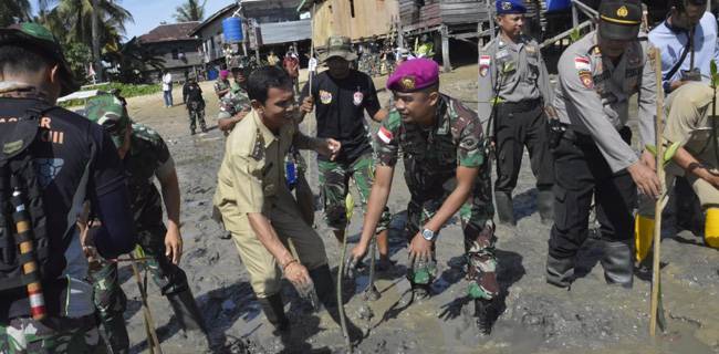 Marinir Tanam Ribuan Mangrove Di Pulau Sebatik