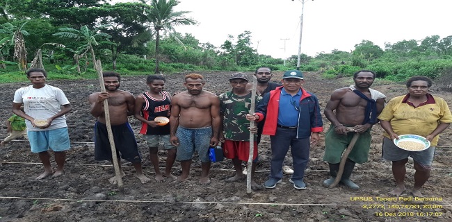Suku Asli Papua Sandingkan Adat Dengan Inovasi Saat Tanam Padi