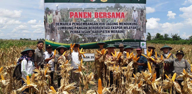 Papua Siap Jadi Lumbung Pangan Pertanian Nasional
