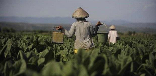 APTI: Jangan Pilih Caleg Yang Tidak Pro Petani Tembakau
