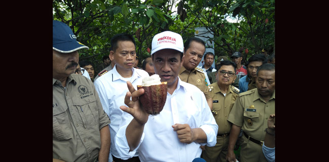 Mentan: Hilirisasi Industri Kakao Berpotensi Tingkatkan Nilai Tambah 1.000 Persen