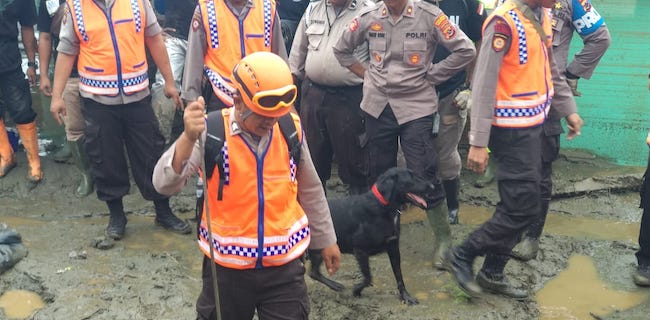 Sisir Korban Banjir, Polda Papua Turunkan 15 Anjing Pelacak
