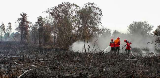 Total Tahun Ini, 1.766 Hektare Lahan Di Riau Terbakar