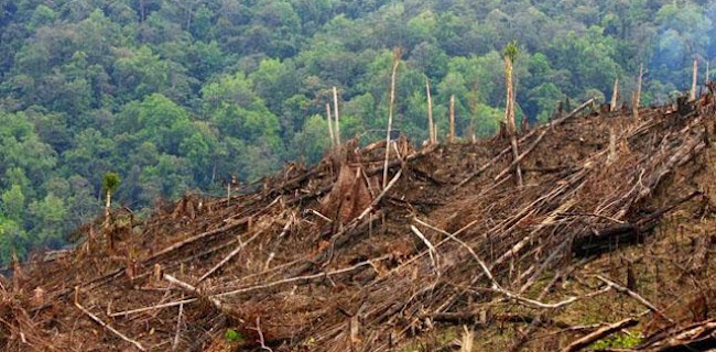 Krisis Ekologis, Bencana Alam, Dan Sikap Abai Kita