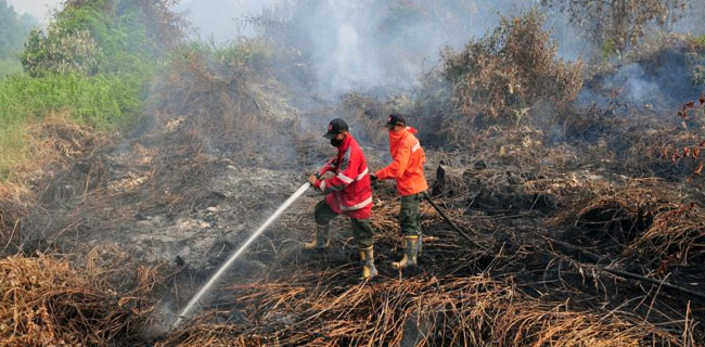 Perusahaan Pembakar Hutan Tak Akan Kapok