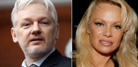 Julian Assange Ditangkap, Pamela Anderson <i>Ngomel</i> Di Twitter