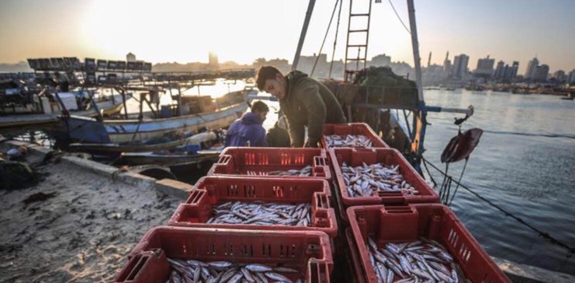 Israel Cabut Pembatasan Zona Penangkapan Ikan Di Gaza