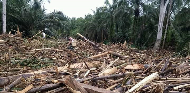 Update, Banjir Bengkulu Telan 30 Korban Jiwa