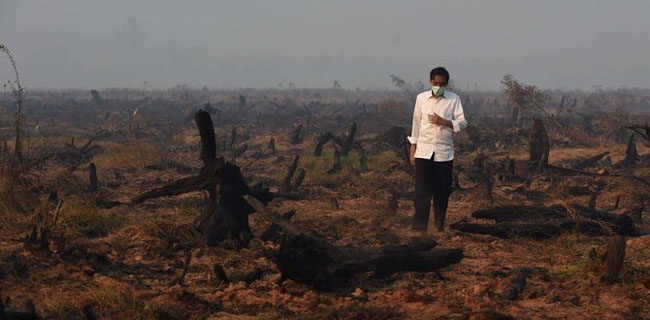 Kalah Kasasi, Jokowi Harus Umumkan Perusahaan Yang Terlibat Kebakaran Hutan Kalimantan