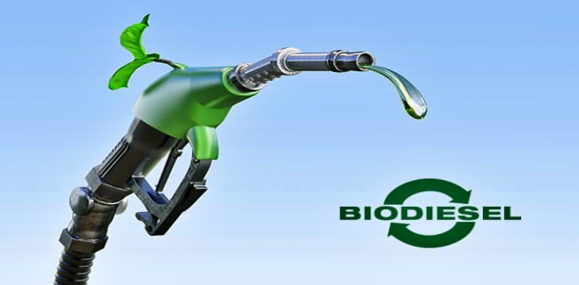 Berpotensi Hemat Rp 26 Triliun, Kementerian Pertanian Berhasil Kembangkan Bio Diesel-100