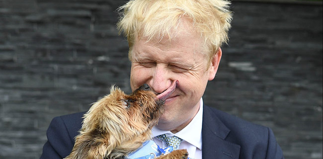 PM Inggris Ingin Pelihara Anjing Di Downing Street