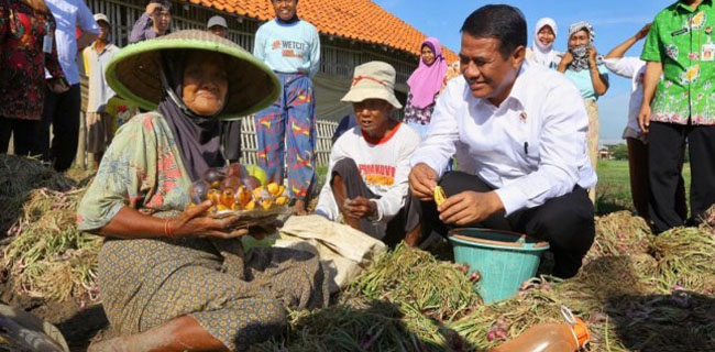 Menahun Nikmati Impor, Di Era Jokowi Pertama Kalinya Indonesia Sukses Ekspor Bawang Merah