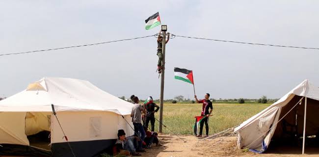 Penyemprotan Herbisida Oleh Israel Kerap Rusak Tanaman Petani Di Gaza