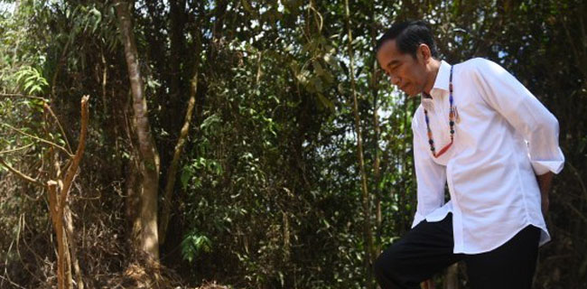 Masih Butuh Kajian Detail, Jokowi Belum Tetapkan Provinsi Yang Akan Jadi Ibu Kota Negara