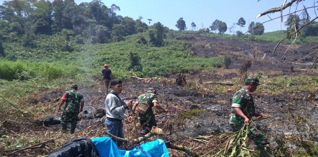 2 Hektare Lahan Di Lebong Bengkulu Terbakar Hebat