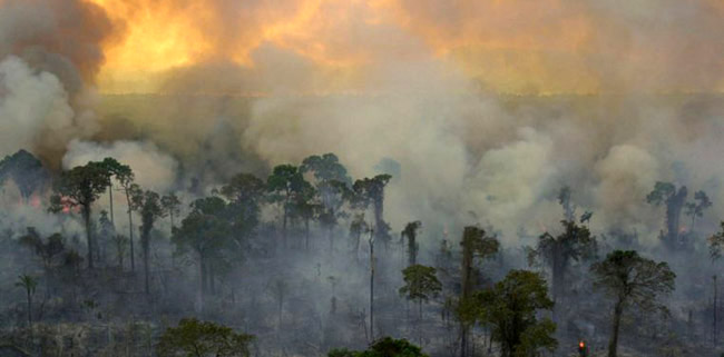 Dikecam Soal Kebakaran Amazon, Presiden Brasil Peringatkan Asing Tidak Ikut Campur