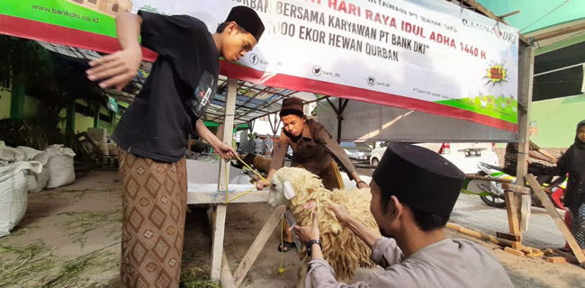 Bank DKI Salurkan Hewan Kurban Ke 100 Masjid Di Jakarta