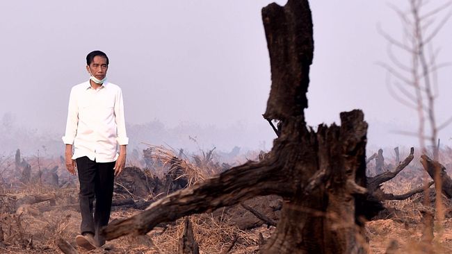 Kabut Asap Ganggu Tetangga, Jokowi Jadi Malu Berkunjung Ke Malaysia Dan Singapura