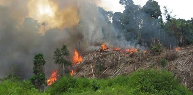 Malaysia Terganggu Dengan Kebakaan Hutan Di Indonesia