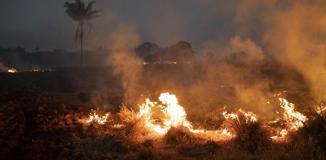 Tersinggung, Presiden Brasil Tolak Bantuan Duit Jutaan Dolar AS Untuk Padamkan Kebakaran Amazon