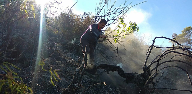 Kebakaran Gunung Sumbing, Tim Gabungan Masih Lakukan Penyisiran Di Lapangan