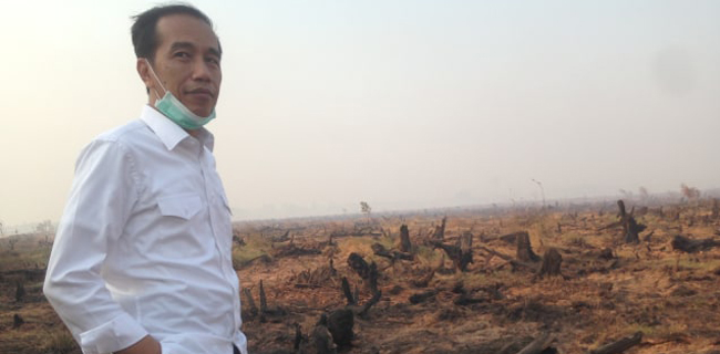 Anggota DPR Terpilih Minta Jokowi Buka Daftar Perusahaan Nakal Pembakar Hutan