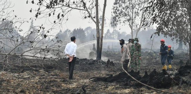 Cak Nanto Desak Jokowi Tetapkan Status Darurat Bencana Asap Nasional