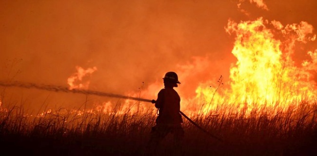 Kebakaran Hutan dan Moralitas Kita