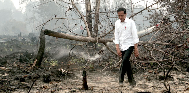 Beathor: Jokowi Perlu Ubah Gaya Komunikasi One Man Show