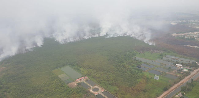 Kepala BNPB: Di Kalimantan, Hutan Dan Lahan Juga Sengaja Dibakar