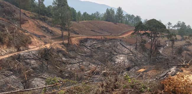 Lima Pembakar Hutan Ditangkap Polres Solok