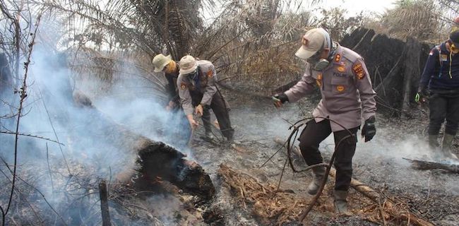 Mardani: Oknum Pembakar Lahan Kerap Manfaatkan Celah Kearifan Lokal