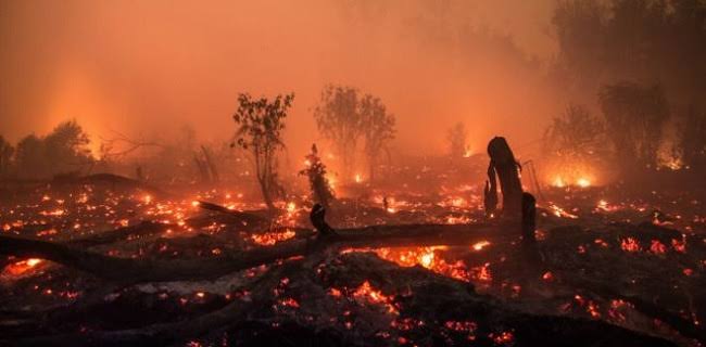 Menteri Lingkungan Singapura: Kebakaran Hutan Indonesia Hasilkan 360 Juta Ton Karbon Dioksida