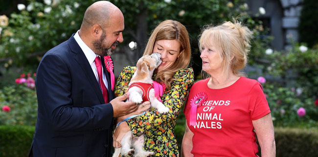 Boris Johnson Dan Kekasihnya Sepakat Beri Nama Dilyn Untuk Anjing Baru Mereka