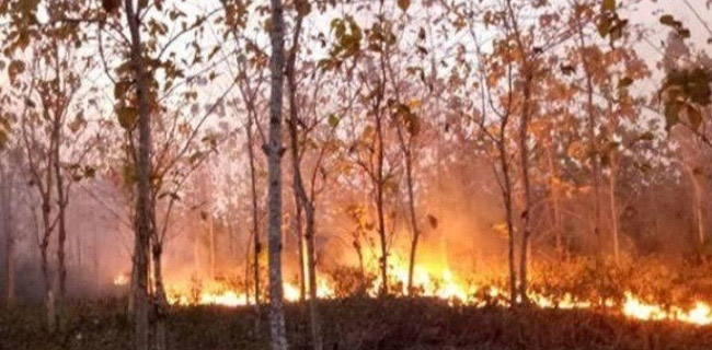 Sudah 124 Juta Liter Air Digelontorkan Untuk Padamkan 49.266 hektare Lahan Yang Terbakar Di Riau