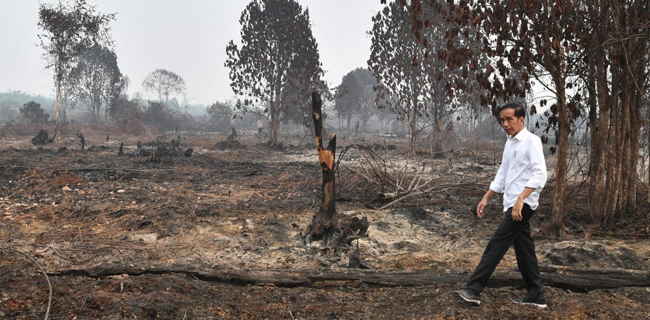 Mengakhiri Kebakaran Bukan Sekadar Selfie, Maaf Pak Jokowi, Rakyat Tidak Terkesan
