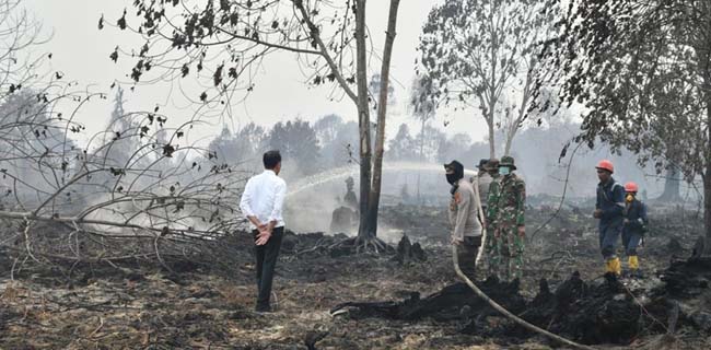 Jokowi Simpulkan Pembakaran Hutan Di Riau Terorganisir