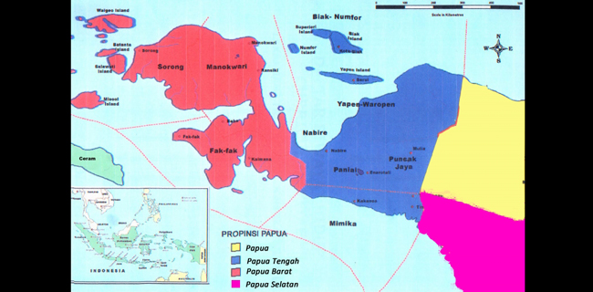 Pembentukan Provinsi Papua Selatan Untuk Persempit Ruang Gerak Kelompok Separatis