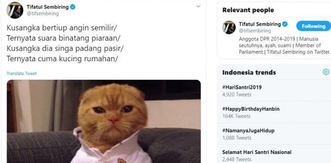 Tifatul Ogah Puisi "Kusangka Dia Singa Padang Pasir, Ternyata Cuma Kucing Rumahan" Dikaitkan Politik