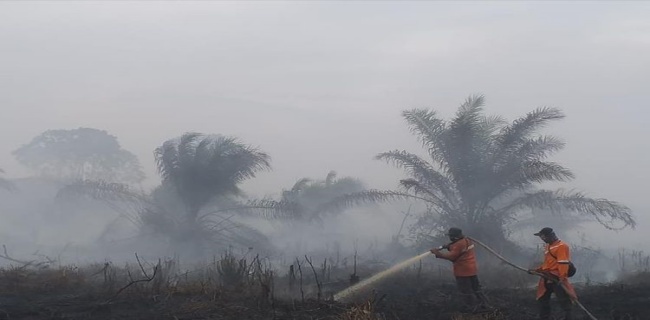 Ribuan Titik Panas Kembali Muncul, BMKG Imbau Warga Waspada Kabut Asap