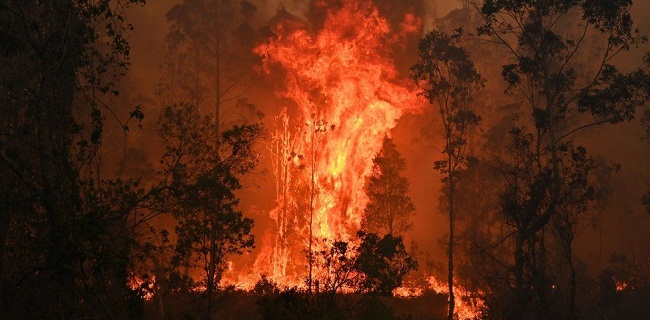 96 Titik Api Belum Padam, Suhu Sydney Naik Hingga 40 Derajat Celcius