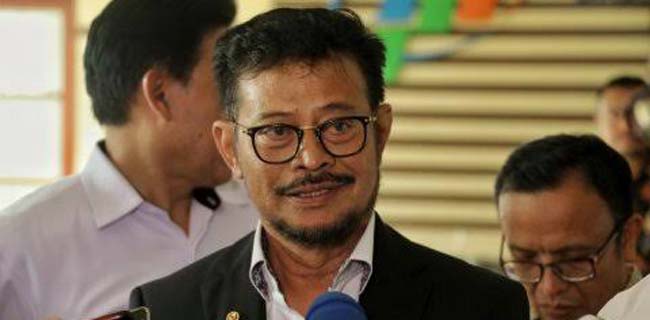 Tahun 2020, Syahrul Yasin Limpo Targetkan Ekspor 100.000 Ton Beras Ke China