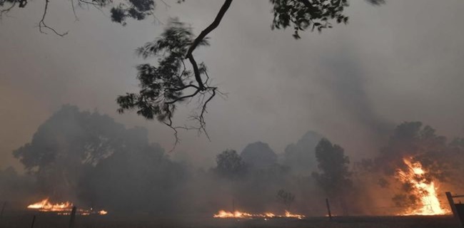 Australia Kembali Dilalap Api, Pesawat Pemadam Kebakaran Jatuh Tiga Kru Meninggal
