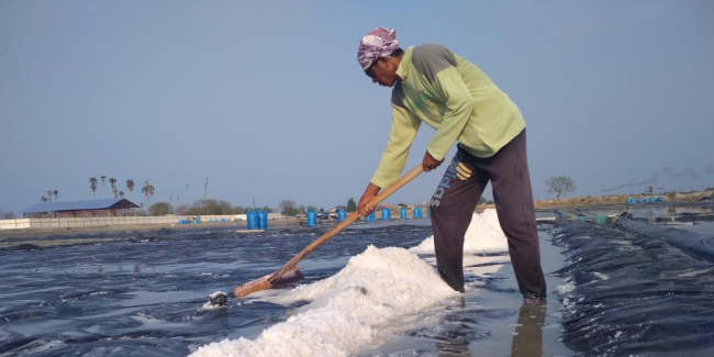 Fahri Hamzah: Ajaib Memang, Negara Kepulauan Masih Impor Garam
