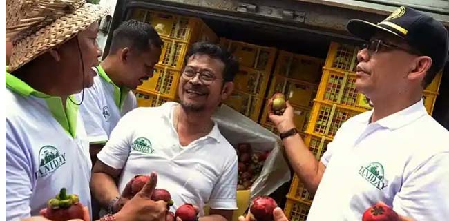 Memanas Dengan China, Ekspor Manggis Bali Ke China Jalan Terus