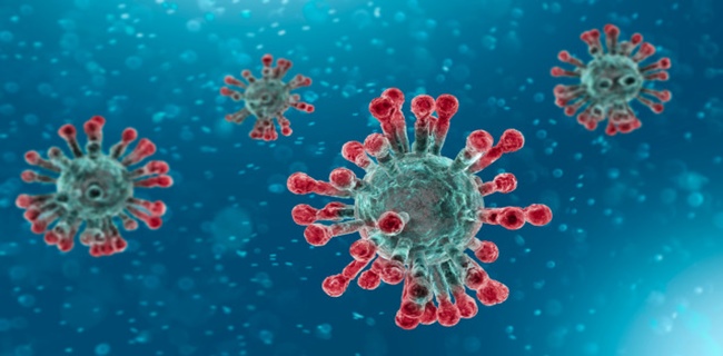Kemenkes: Virus Corona Diduga Menular Melalui Kontak Langsung