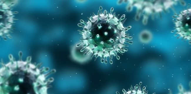 Indonesia Negatif Virus Corona, Namun Kini Khawatirkan Mutasi Virus H1N1