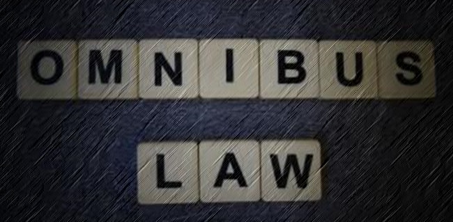 Pakar Hukum Tata Negara: Omnibus Law Seperti Obat Hiper Regulasi