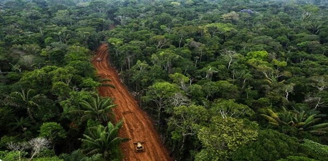 Virus Corona Telah Mengintai Hutan Amazon Setelah Dokter Tugas Kembali Dari Liburannya