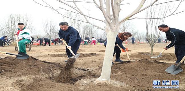Setelah Wabah Mereda, Presiden Xi Jinping Mengimbau Rakyatnya Untuk Lakukan Penanaman Pohon